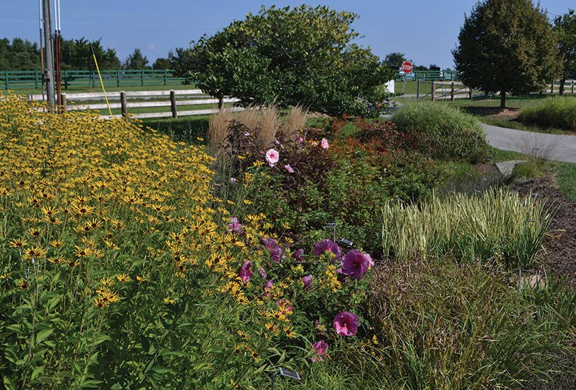 Boone County Arboretum, United States